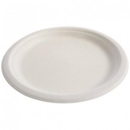 Assiette pulpe blanche Ø 22,86 cm