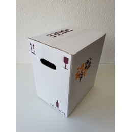 Carton de 12  x 50 cl Sélection debout